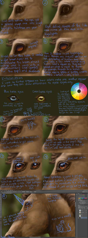 Horse Eye Tutorial