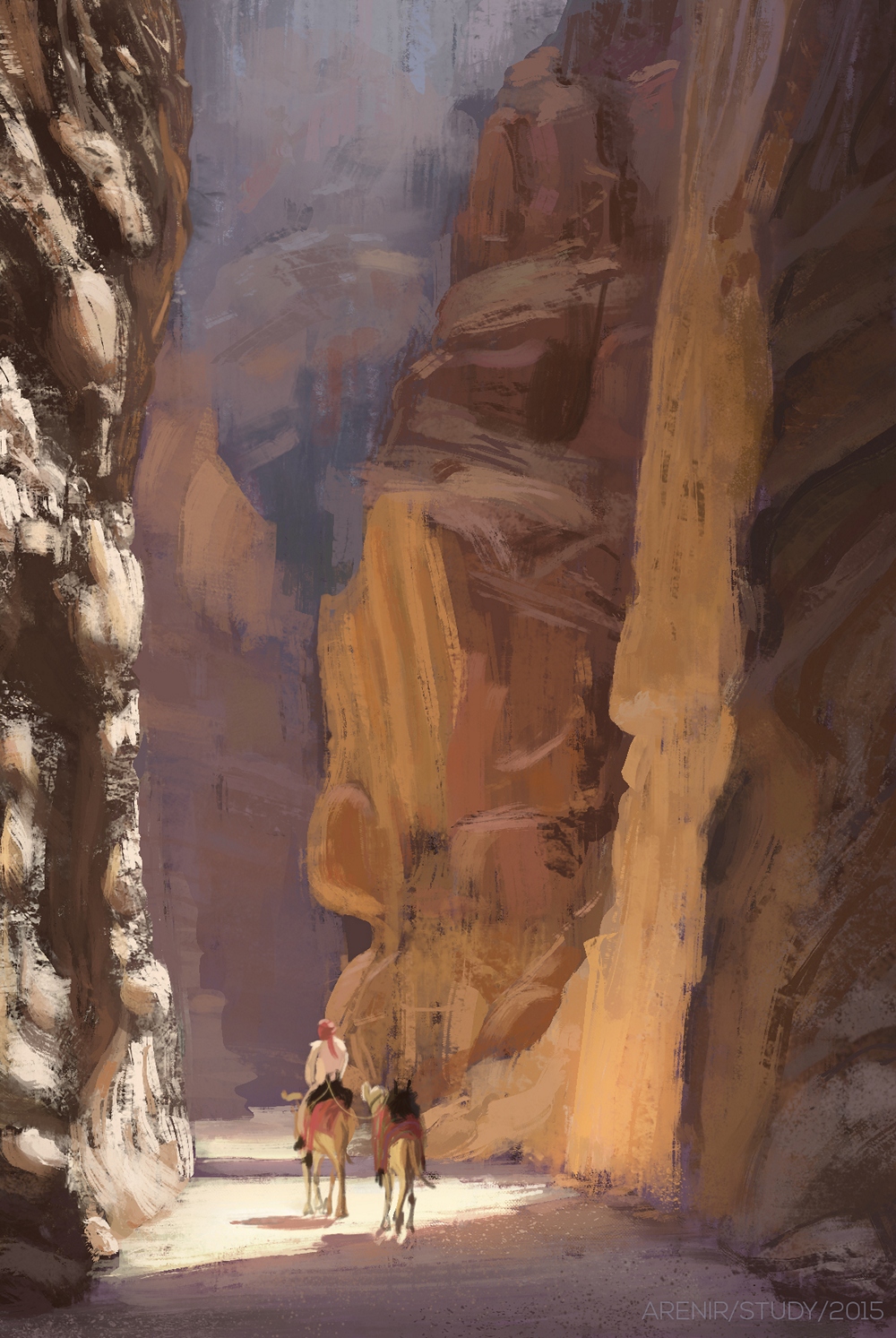 Desert canyon study