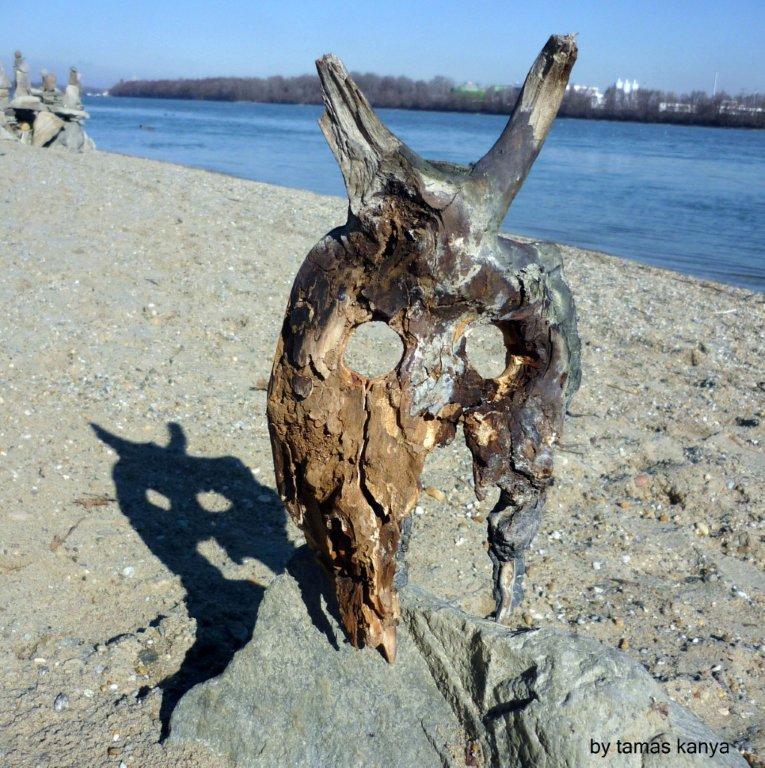 driftwood art ghost shadow  by tamas kanya