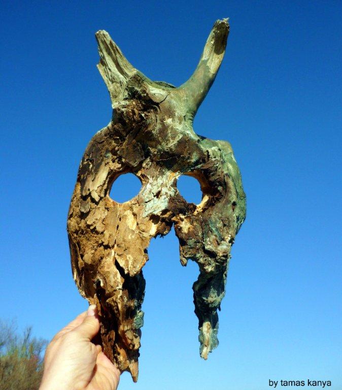 driftwood art gladiator mask devilhead by kanya