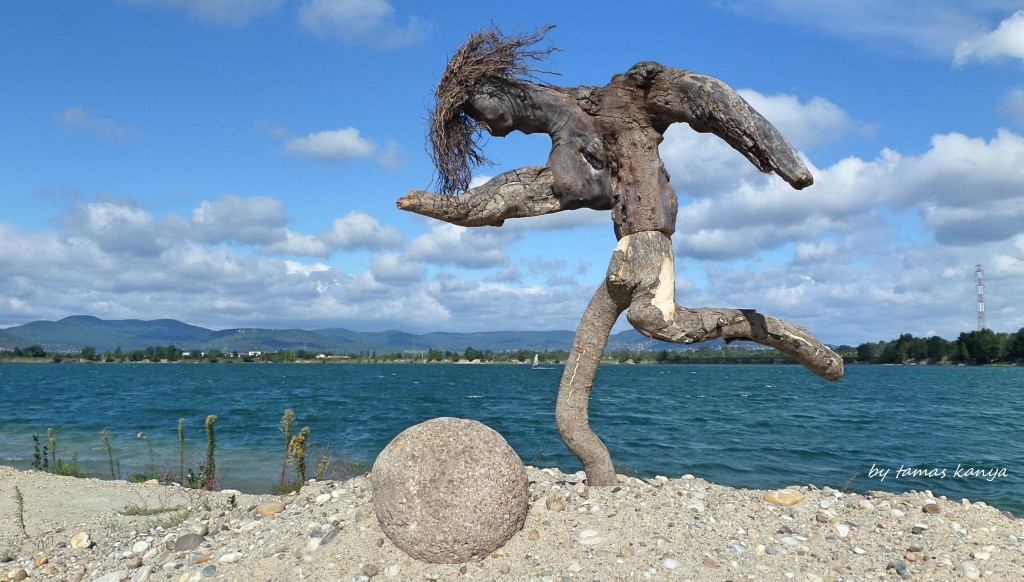 driftwood art in hungary by tamas kanya