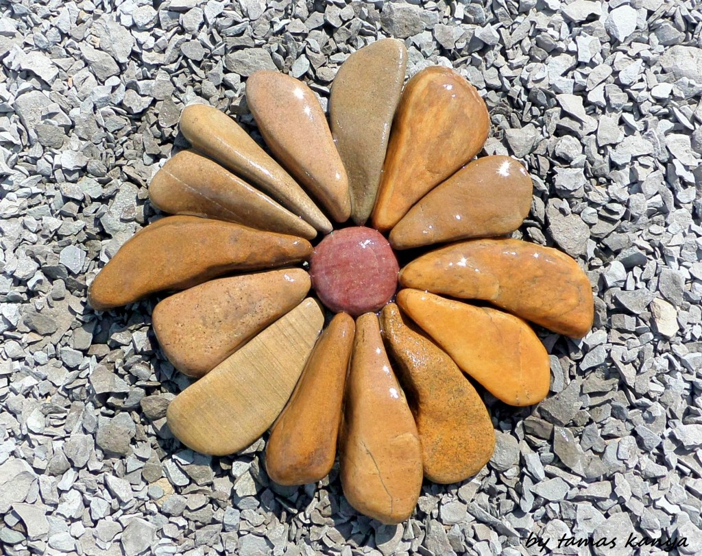 Land art-stone flowers in hungary by tamas kanya