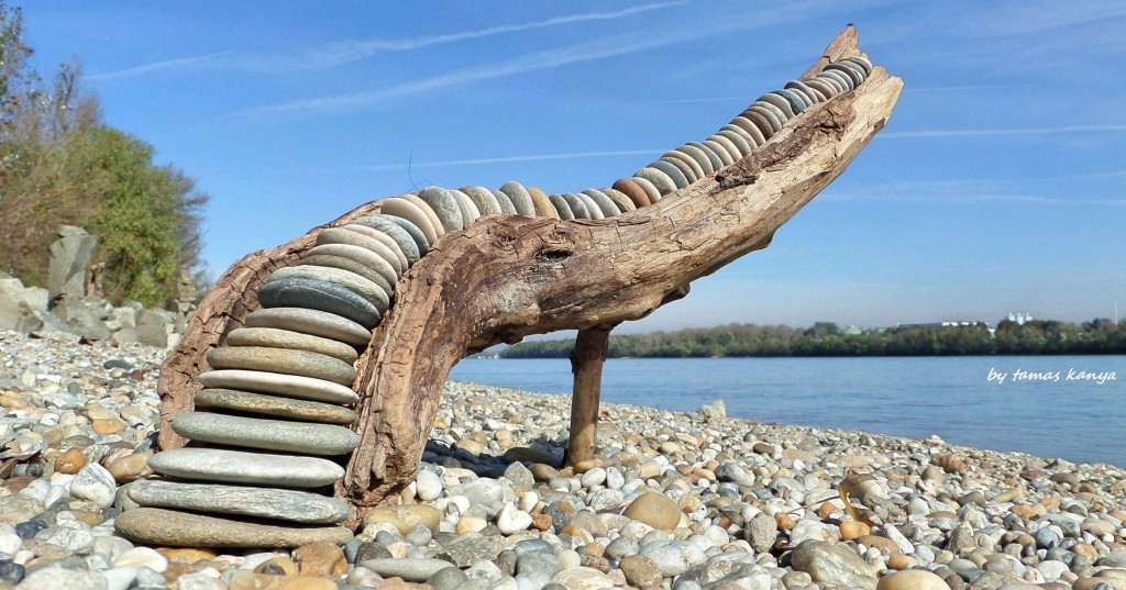 Stones and driftwood in Hungary by tamas kanya