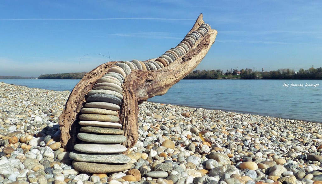 Stones and driftwood in Hungary by tamas kanya