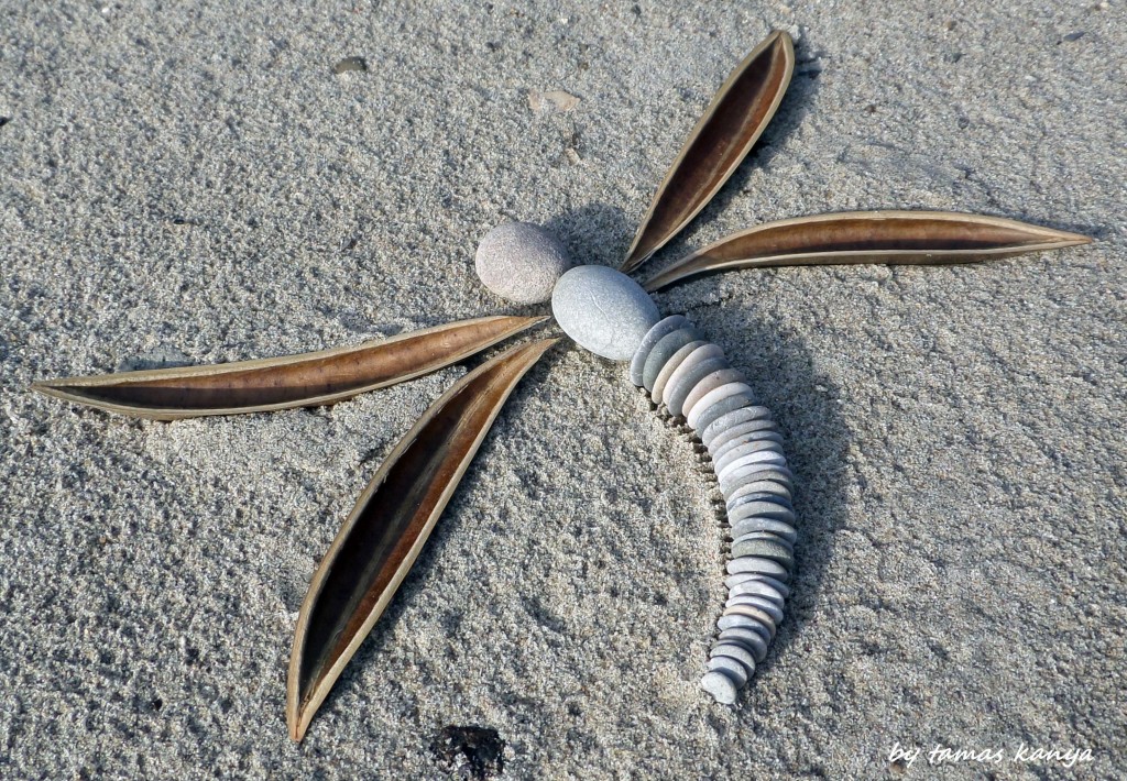 Land art dragonfly in Hungary by Tamas Kanya