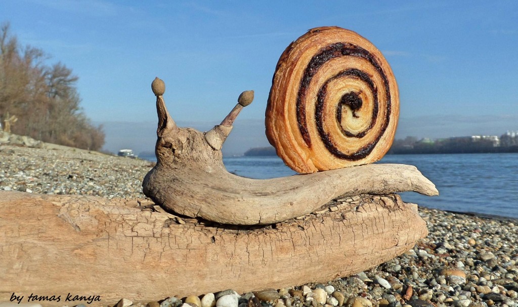 Driftwood art hungarian cocoa snail