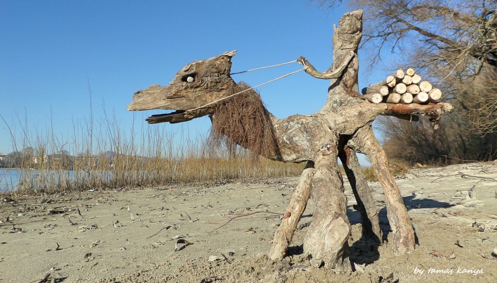 Driftwood art in Hungary by Tamas Kanya