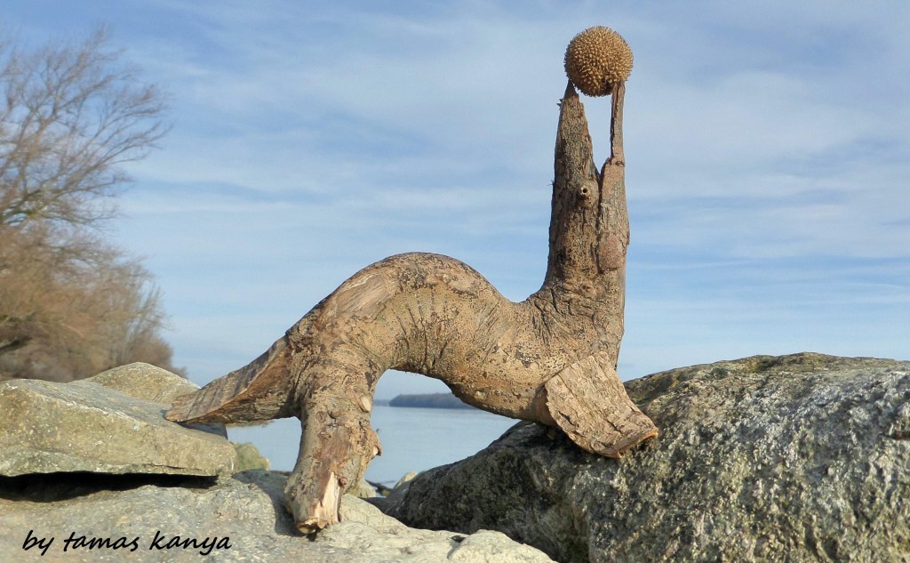 Driftwood art-Seal with ball in Hungary by kanya