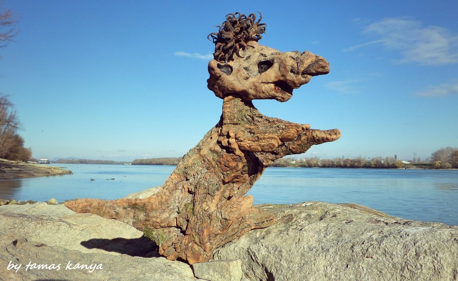 Driftwood art in Hungary by Tamas Kanya