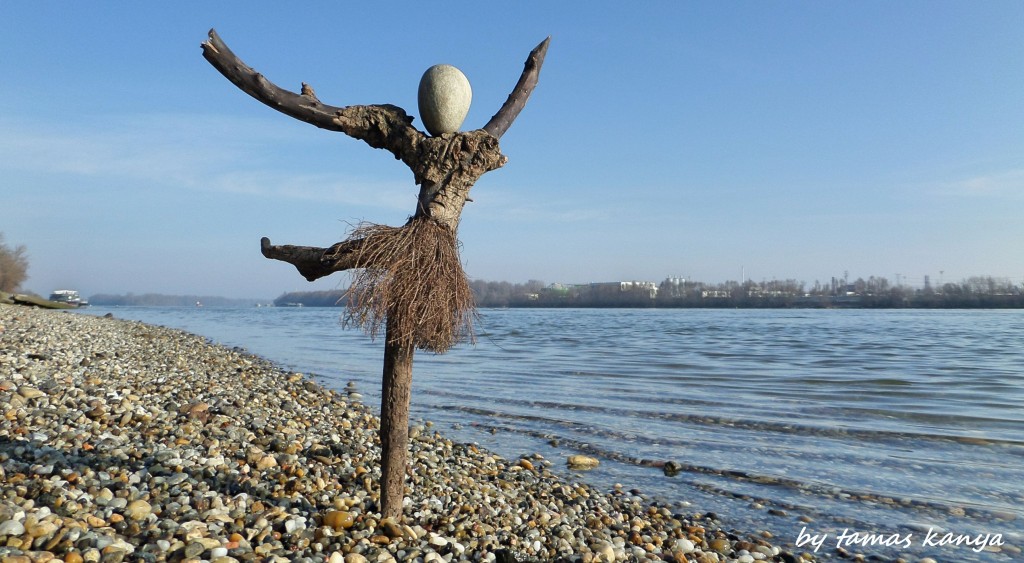 Driftwood art in Hungary by tamas kanya