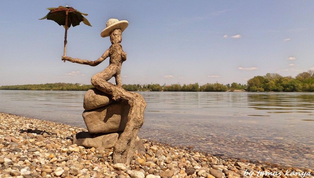 Driftwood art in Hungary by tamas kanya