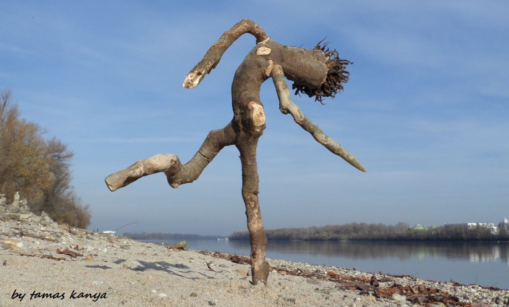 Driftwood art in Hungary by tamas kanya