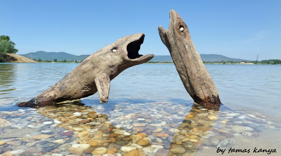 Driftwood art in Hungary by tamas kanya