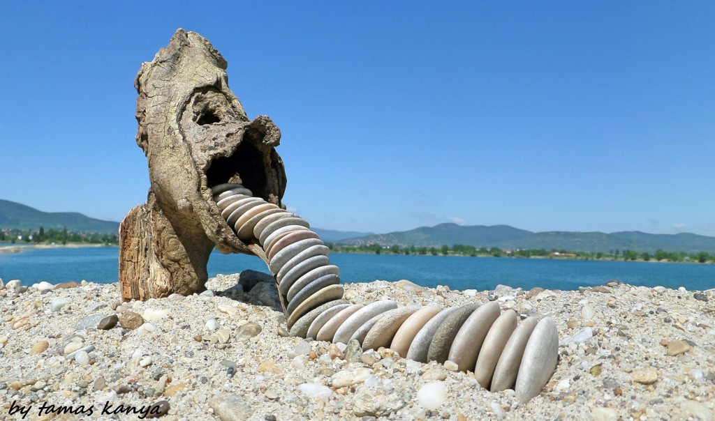 Driftwood and stone art in Hungary by tamas kanya