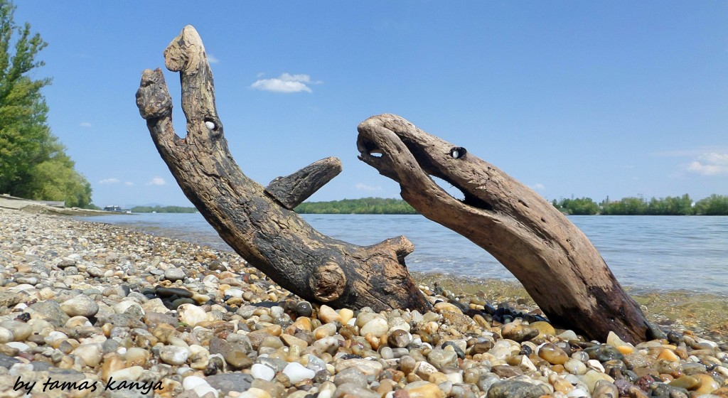 LAND ART in Hungary by tamas kanya