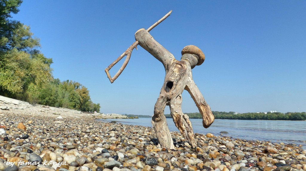 Driftwood art from Hungary by tamas kanya