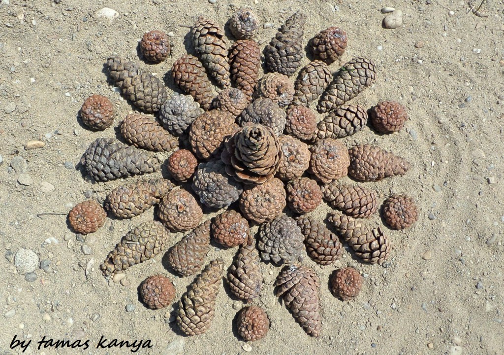 LAND ART in Hungary by tamas kanya