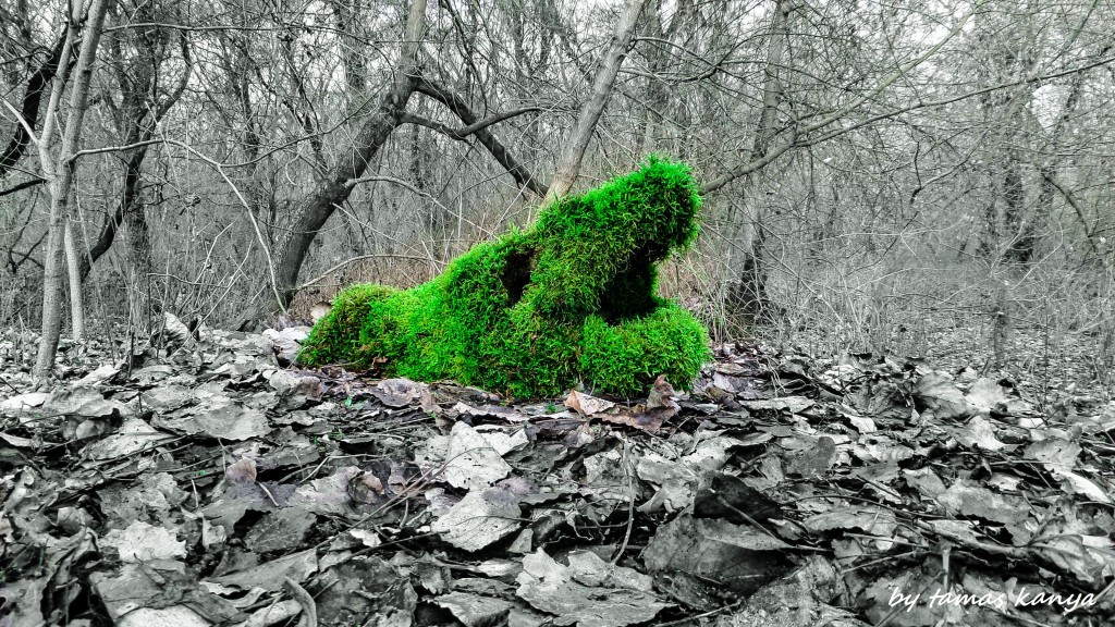 LAND ART in Hungary by tamas kanya