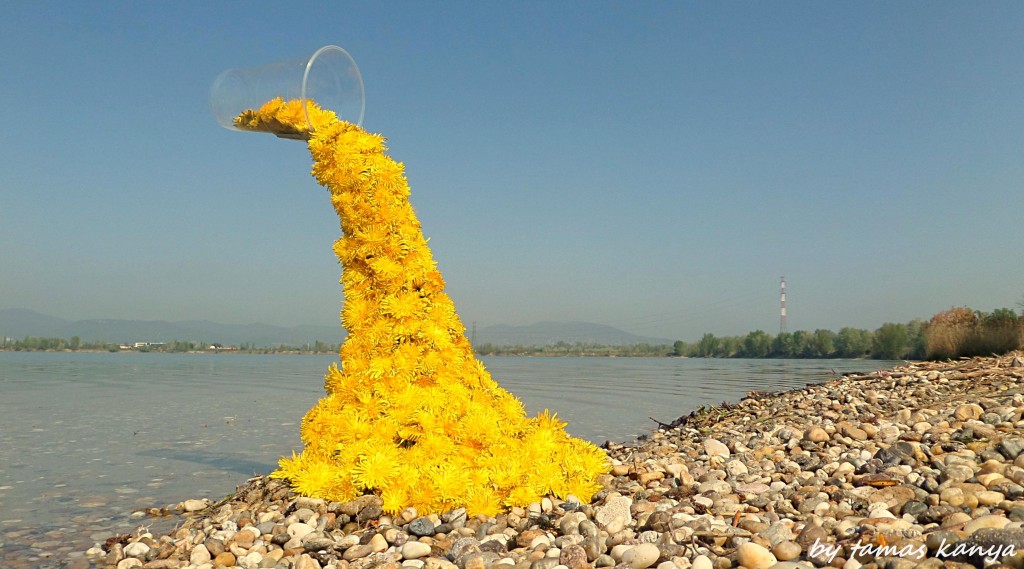 Land art from Hungary by tamas kanya