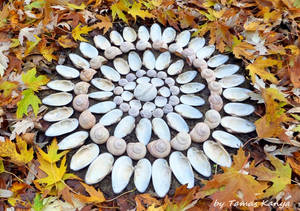 Land art mandala from Hungary by tamas kanya