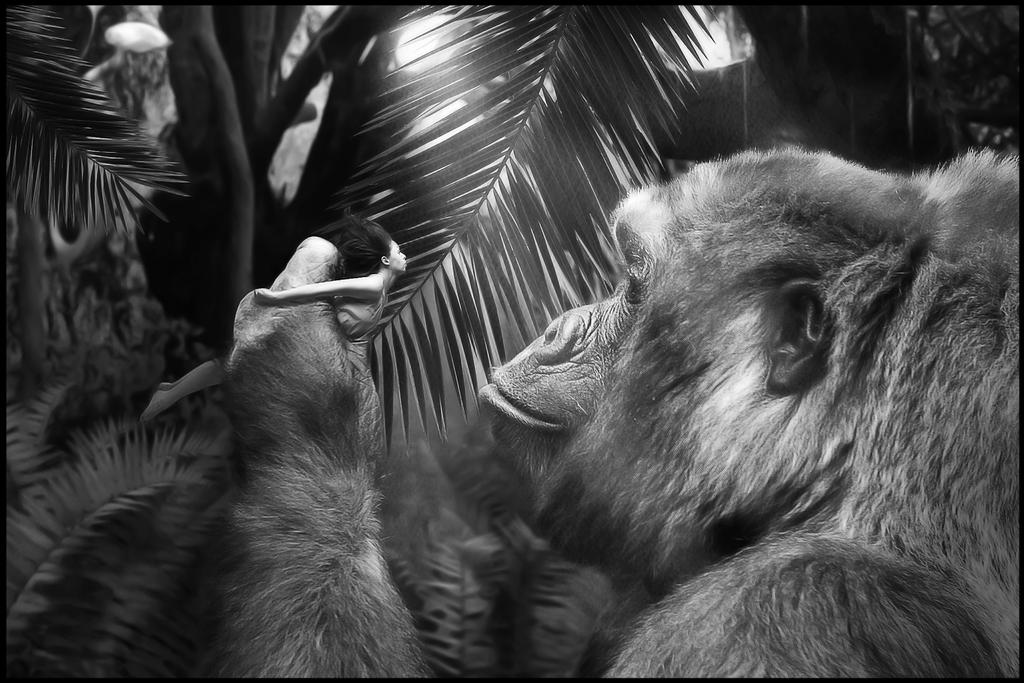 King Kong by Mocris King Kong by Mocris