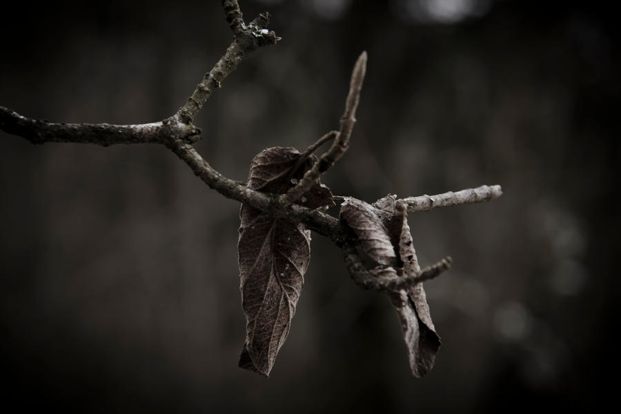 Withstand the Winter by Mocris Withstand the Winter by Mocris