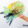 Budgie preening