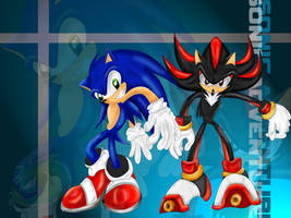 :: Sonic Vs Shadow ::