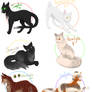 My Horde of Warrior Cats Pt. 1