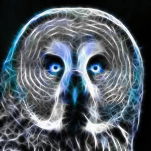 OWL Fractal