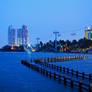 Blue Ancol