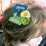 Dr Seuss Sneetches Hair clip