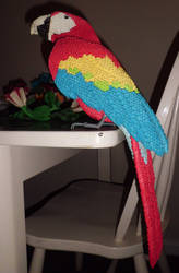 3d Scarlet Macaw