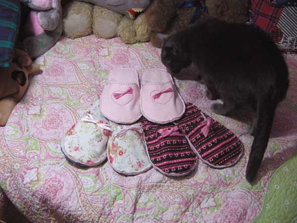 Slipper Inspection