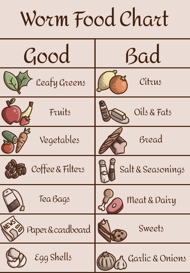 Worm Food Chart By CoconutSnek On DeviantArt
