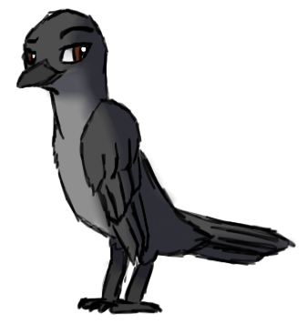 DAT RAVEN