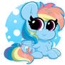 Smol Dashie