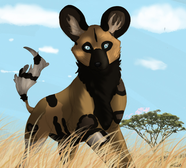 African Wild dog character
