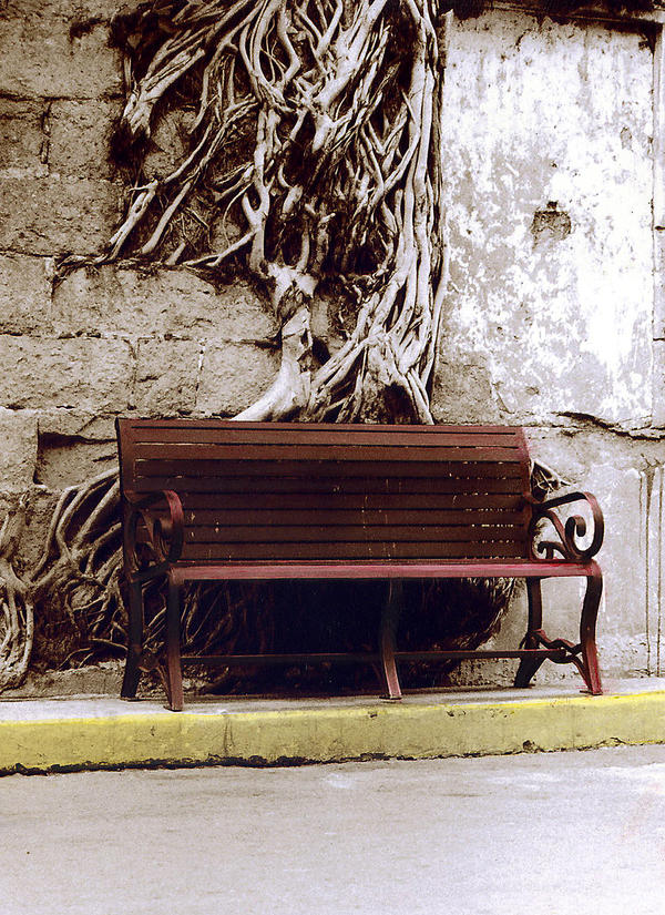 Bench