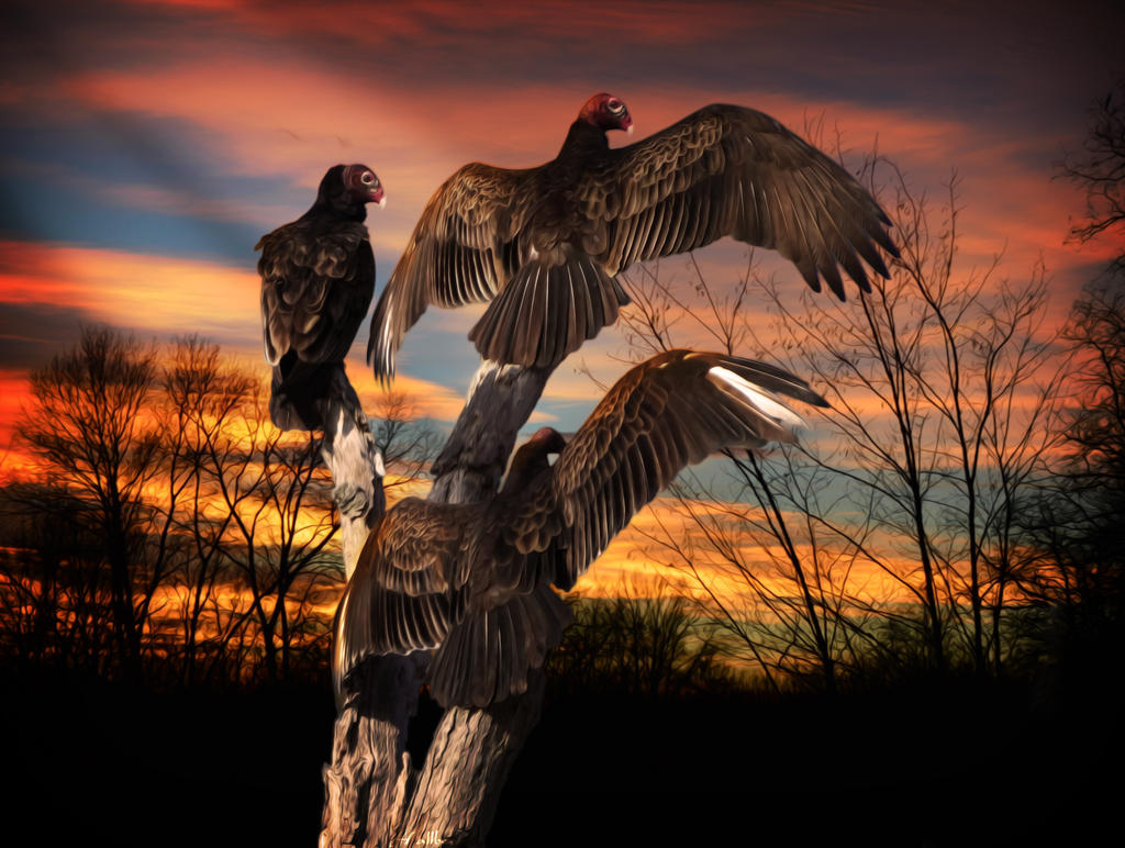 Watchers at Dusk