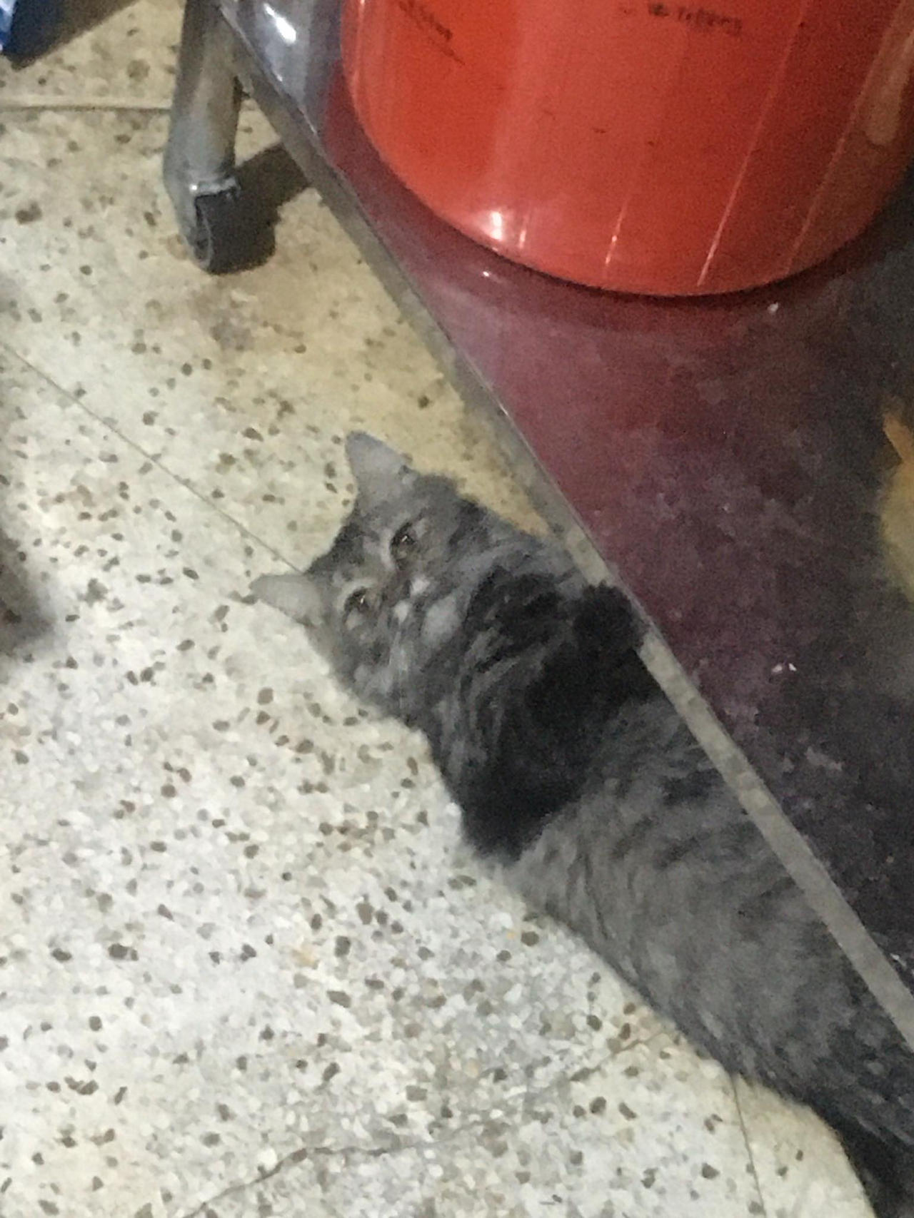 I've Officially Aged by ICTON on DeviantArt