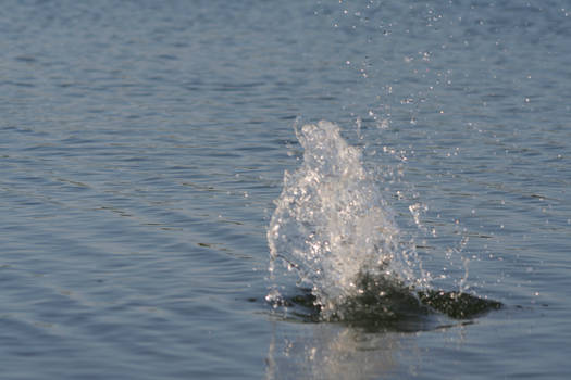 Water splash - 3