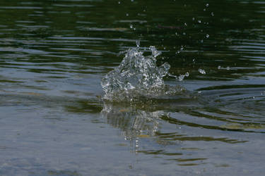 Water splash - 5