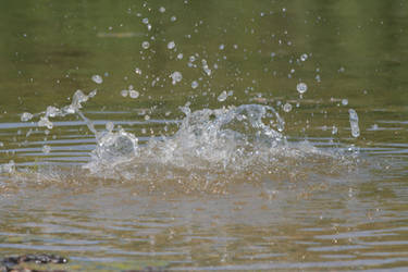 Water splash - 6