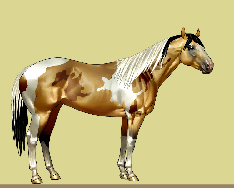 Buckskin Calico Tobiano American Paint Horse