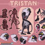 Tristan Refsheet