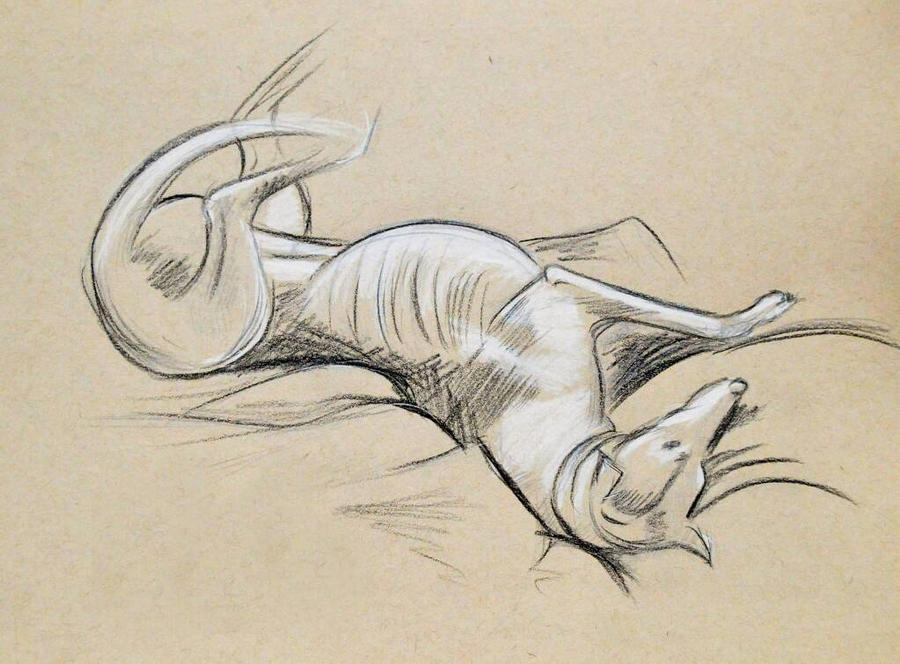 Greyhound On Tan Paper