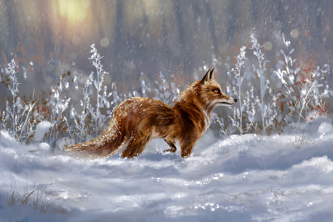 Deviantart Andre Fox Winter wonder fox by andreeacartas on DeviantArt