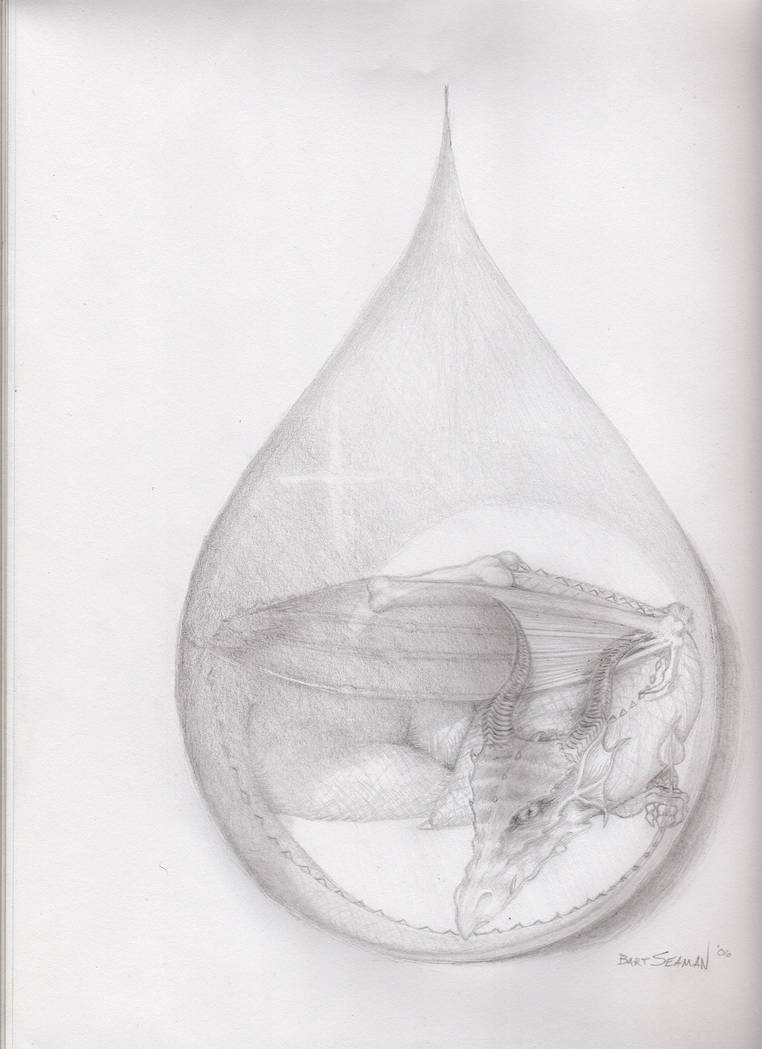 Dragon's Drop by koaLessons on DeviantArt
