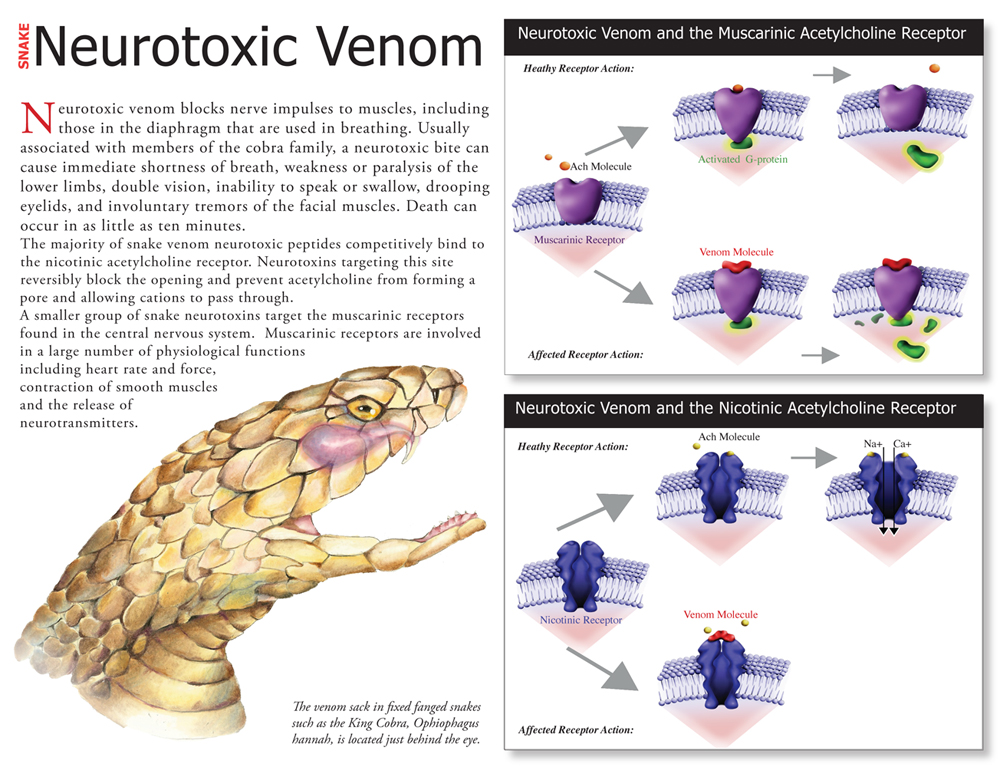 Neurotoxic Venom By Wyrdgrendel On Deviantart